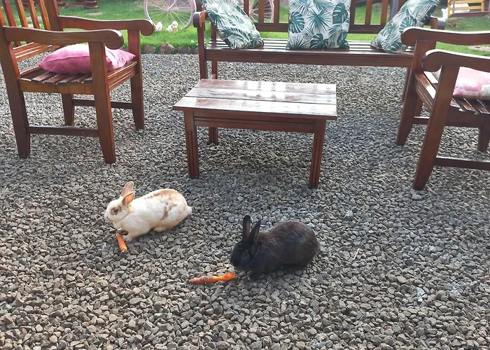 Pousada Flores em Vida